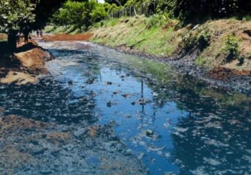 Por que acidentes ambientais são tão prejudiciais para o meio ambiente e pessoas?